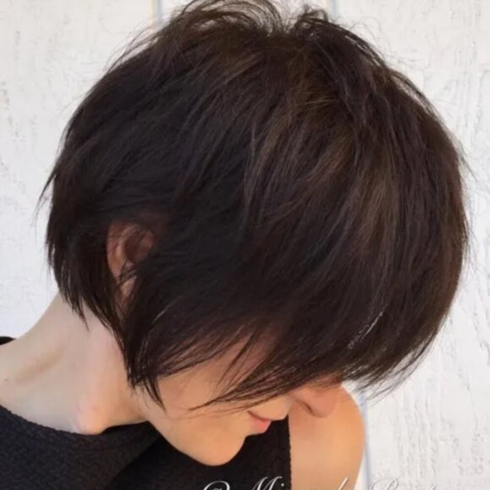 Reddish Brown Short Hair Wig Pixie Mullet Style New